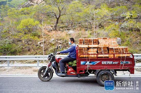  ▲4月19日，密云区冯家峪镇北栅子村村民张兴全拉着一车从北京保峪岭养蜂专业合作社领取的蜂箱材料回家。新华社发（陈钟昊摄）