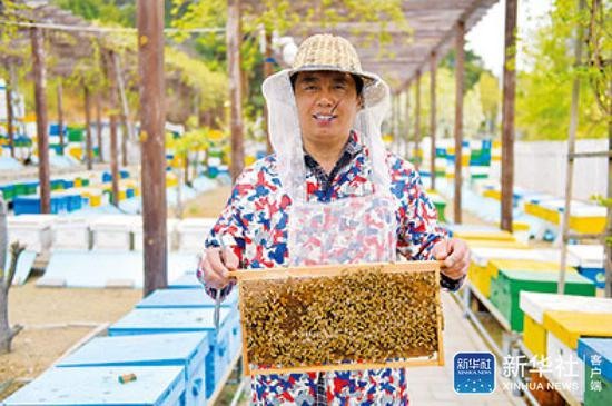  ▲密云蜂农杨新宇向记者展示他养殖的蜜蜂（4月15日摄）。新华社发（陈钟昊摄）