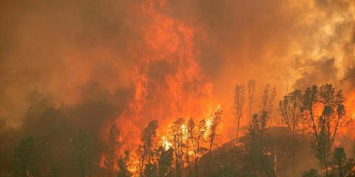 美国加州大火持续肆虐天空变橙色好似 世界末日 手机新浪网