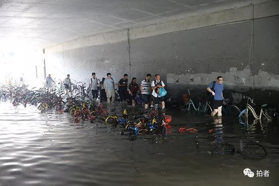 △&nbsp;下午一点多，昌平区回龙观育知东路轻轨桥下。摄影/新京报记者王贵彬