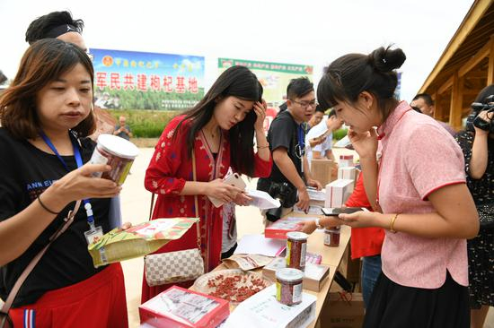 记者在枸杞基地采访。