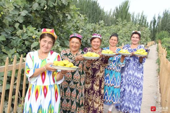 岳普湖县第二茬无花果成熟，人们笑得比无花果还甜。图/王照伟