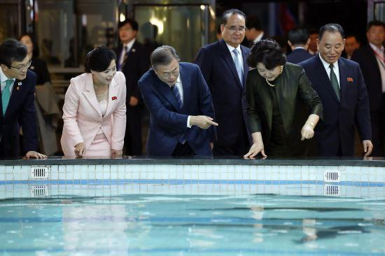 金正恩提前抵达，参观餐厅。（图/青瓦台联合采访团）