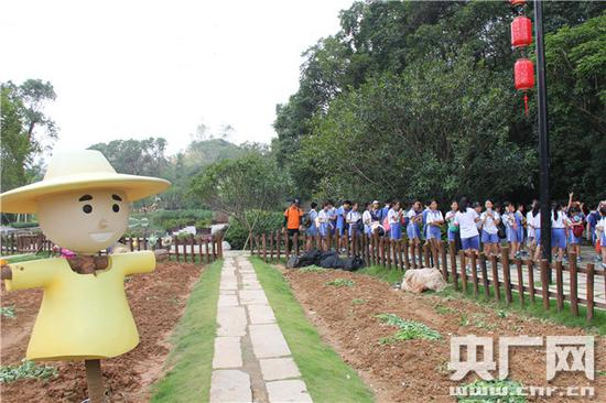 小凉帽农场 央广网记者 巩盼东 摄