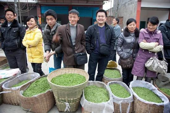 △ 2010年，成都，几位年轻的茶商检验新到的茶叶，传统茶饮消费快速提高。