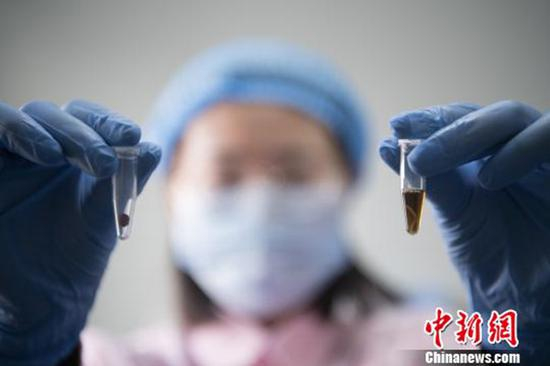 工作人员准备提取DNA