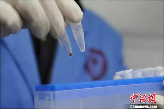 资料图:实验室中科研人员正在工作。中新社发 刘冉阳 摄