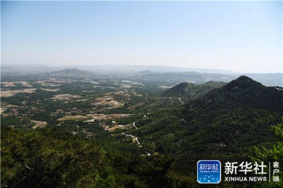 ↑这是孟良崮战役战场遗址。经过几十年的治理，曾经几乎寸草不生的孟良崮如今郁郁葱葱（5月20日摄）。新华社记者 王凯 摄