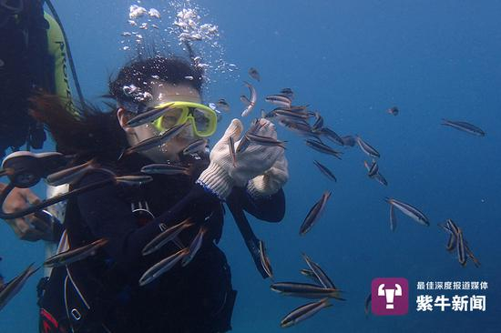  程利婷考潜水证