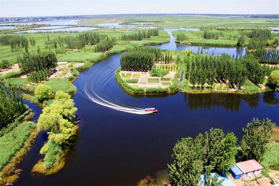 白洋淀天蓝水清。图片来源：东方IC