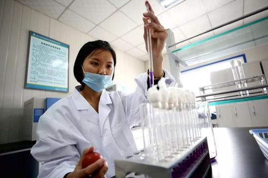  在廊坊市地表水厂，技术人员在进行水质检测。新华社记者 王晓 摄