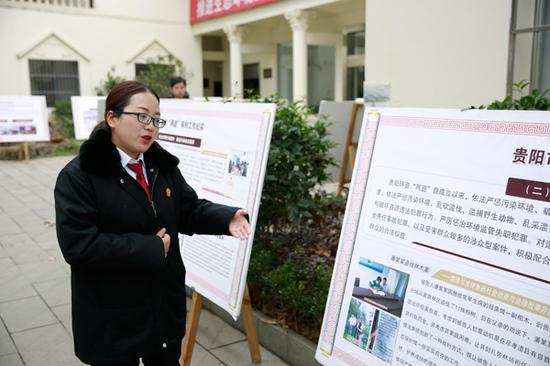 环境资源审判庭法官向记者介绍典型判例（光明网记者 赵宇豪/摄）