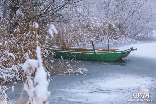  雪后的衡水湖，银装素裹，犹如一幅展开的水墨画卷。