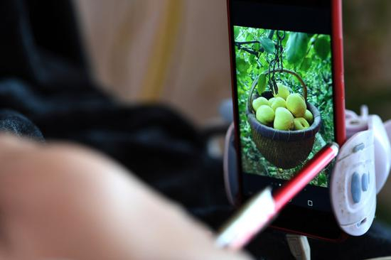 李娟在家中通过电商平台销售村里的酥梨。