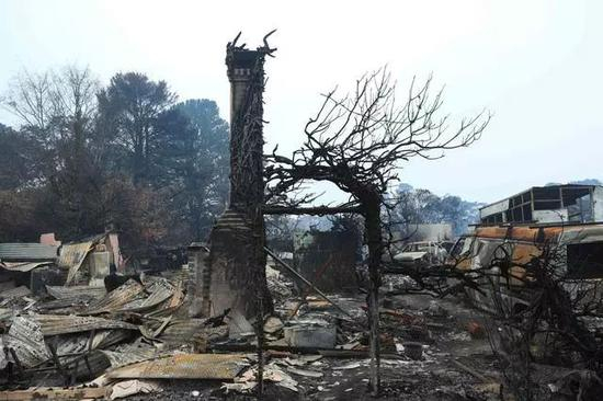 探访林火过后的村庄。新华社供图