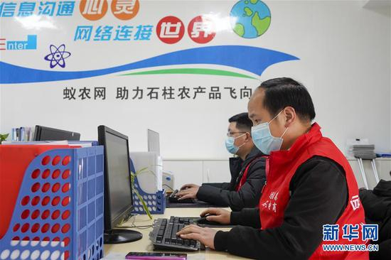 　　4月7日，重庆市石柱县一家电商企业的办公室内，几名工作人员在线销售当地农产品。&nbsp;新华社记者 刘潺 摄