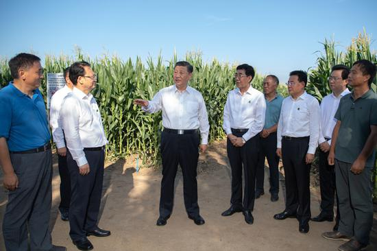 7月22日至24日，中共中央总书记、国家主席、中央军委主席习近平在吉林省考察。这是7月22日下午，习近平考察四平市梨树县国家百万亩绿色食品原料（玉米）标准化生产基地核心示范区地块。