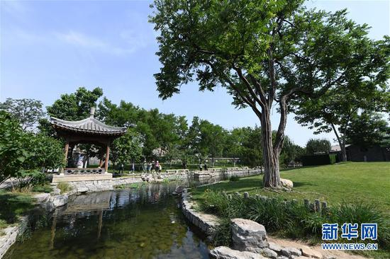 市民和游客在北京市东城区三里河参观游览（6月7日摄）。新华社记者 鞠焕宗 摄