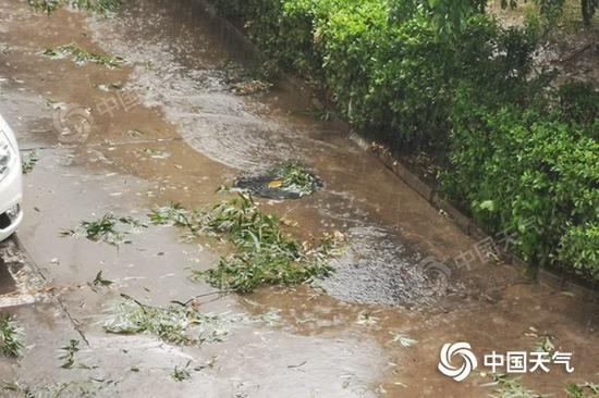 今天下午，北京朝阳风大雨急，部分路段出现积水。（图/王涛）