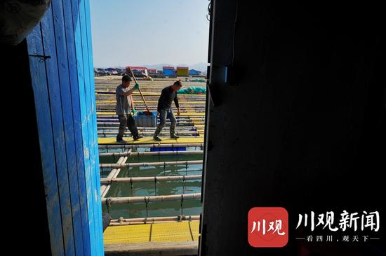  ▲巫其石且说喂养海参的饲料主要是海带边角和滩涂上的淤泥，通过搅拌，就是上好的饲料