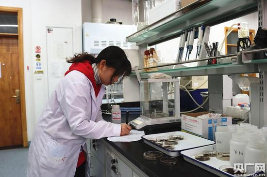 刘佳丽正在实验室做实验（央广网记者&nbsp;刘昱&nbsp;摄）