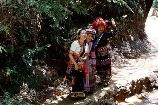 图为游客在蝴蝶环绕的林间漫步。李嘉娴 摄