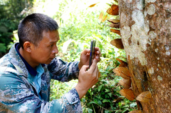  图为杨镇文近距离观测蝴蝶。李嘉娴 摄