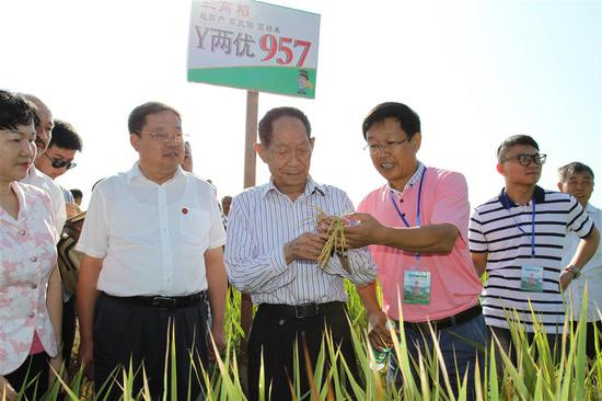 2017年，袁隆平（中）和邓启云（右三）在示范种植现场。&nbsp;&nbsp; 图片由受访者提供