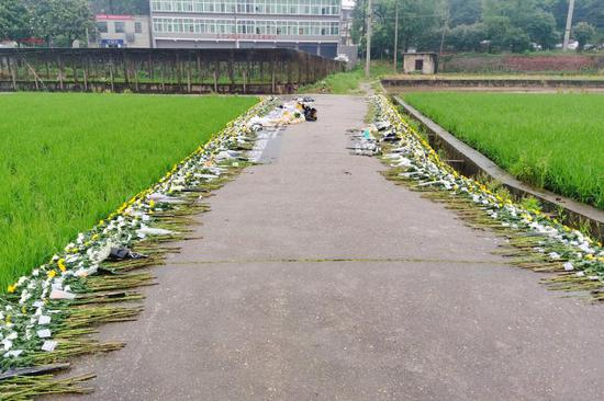 袁隆平生前工作的试验田边，鲜花铺了四五十米。&nbsp;&nbsp; 图片由受访者提供