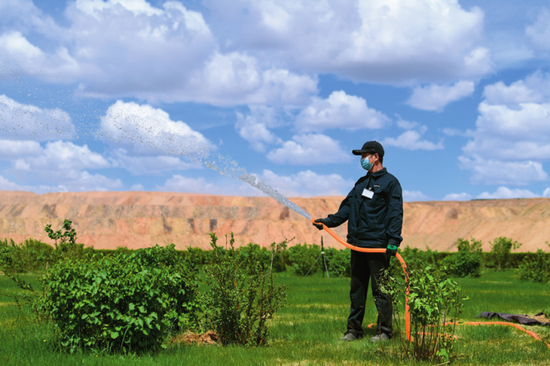5月26日，工作人员在内蒙古鄂尔多斯市准格尔旗黑岱沟露天煤矿植被恢复区浇水&nbsp;贝赫摄