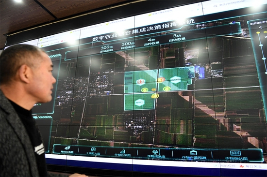  2月11日，安徽省亳州市谯城区赵桥乡“无人农场”工作人员通过“农场大脑”监控麦田情况。新华社记者 刘军喜 摄