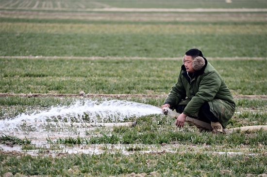  2月18日，在山东省菏泽市巨野县柳林镇，村民在麦田里浇水。新华社记者 郭绪雷 摄