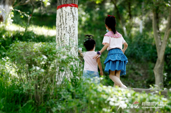 6月12日，乌鲁木齐市水磨沟公园，两位小朋友在树林中玩耍。石榴云/新疆日报记者 秦鹏摄