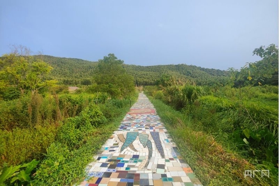 由陶瓷碎片铺成的“彩虹路”通向大山深处（央广网记者 胡斐 摄）