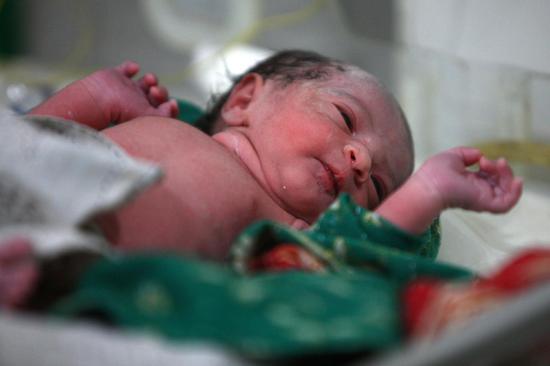  ↑2010年11月12日，刚刚出生的阿里法·沁。新华社记者 琚振华 摄