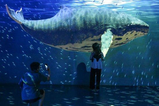  7月29日，游客在国家海洋博物馆体验沉浸式互动数字艺术作品《鲸奇物语》光影艺术展。新华社记者 孙凡越 摄