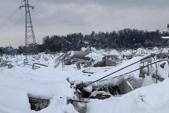 2024年1月22日，湖南衡阳，许喜俊家的大蛙场网棚倒塌。（受访者/图）