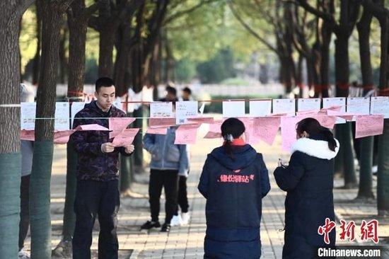 资料图：在合肥市大蜀山森林公园一处“相亲角”内悬挂的相亲简介吸引民众驻足。　韩苏原 摄