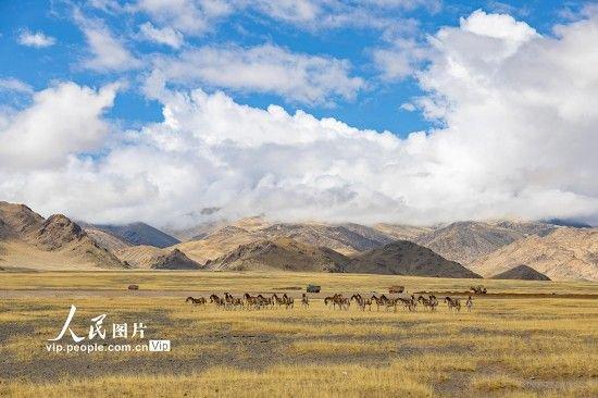 文旅部：希望大陆居民能够早日赴台湾本岛去旅游