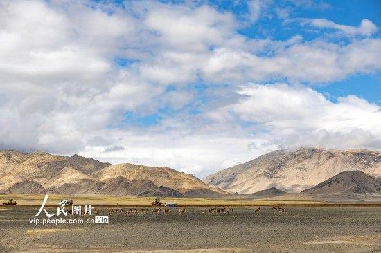 低空经济“蓄势腾飞” 打造未来产业增长新引擎