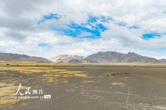 杭州通报“叫花鸡里没有鸡”