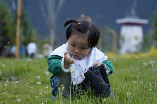 在工布公园草坪上玩耍的孩子（7月21日摄）。朱俊 摄