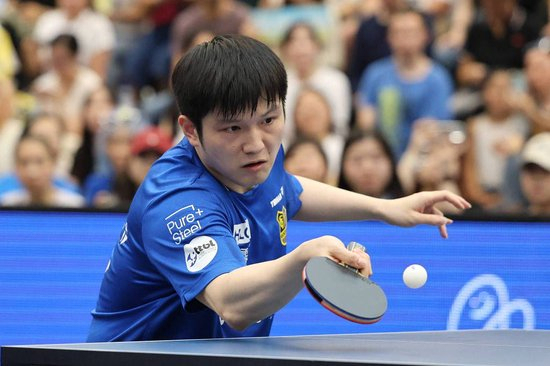 樊振東。資料圖