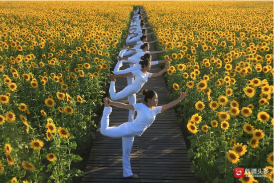 乌尔禾向阳花海美得让人心醉。图/乌尔禾区委宣传部