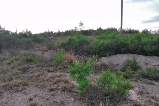  ▷一起勒索案的事发地 &nbsp; | 曹慧茹