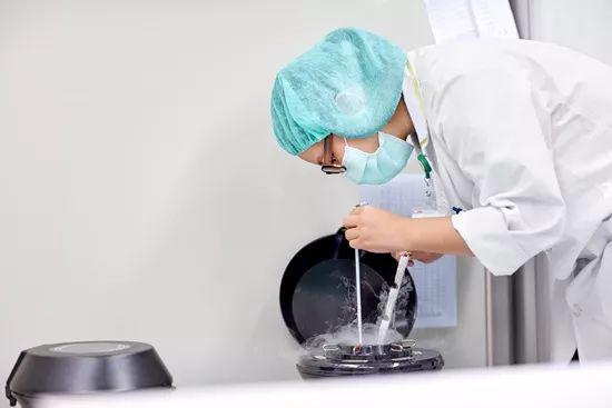 工作人员将离开人体的卵子存入冒着冷气的液氮罐