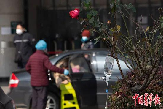  1月31日，武汉同济医院，发热门诊空间有限，一些患者在室外输液。中青报·中青网记者&nbsp;&nbsp;李峥苨/摄