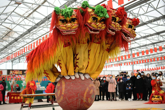  2月24日，民俗表演队在河北省张家口市宣化区塔儿村乡窑子头村表演舞狮。新华社发（陈晓东&nbsp;摄）