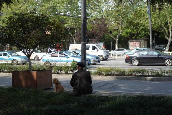  遛狗晒太阳的老大爷