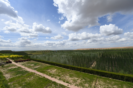 内蒙古鄂尔多斯市准格尔旗黑岱沟露天煤矿植被恢复区&nbsp;贝赫摄